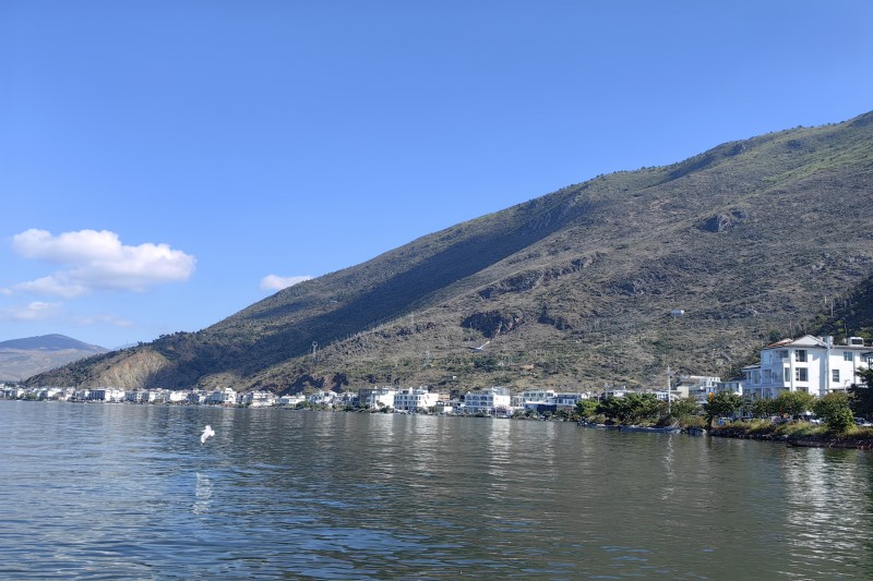 工业提质、服务提效、消费提振 湖南新田实干争先开好局