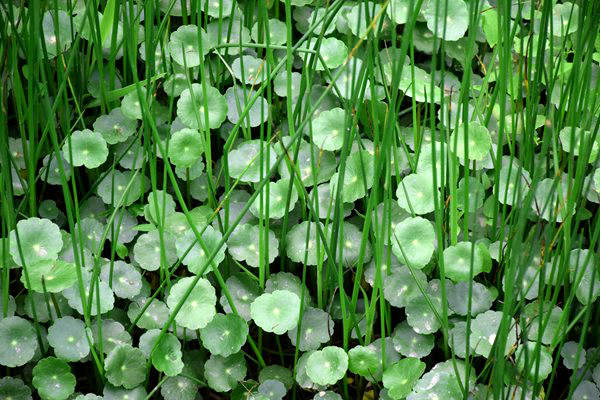 新疆邮政管理系统多举措保障节后行业生产运营工作安全有序