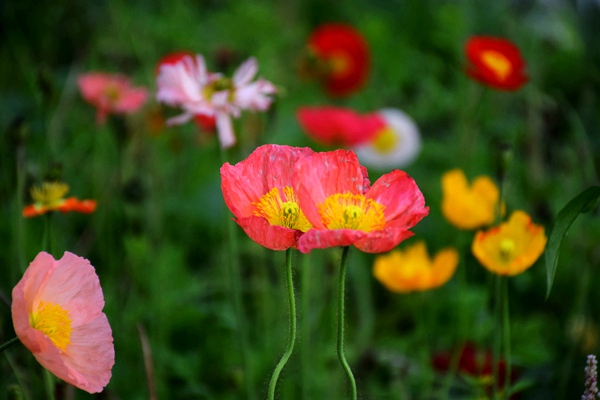 重庆江津区有效降低全社会物流成本措施出台