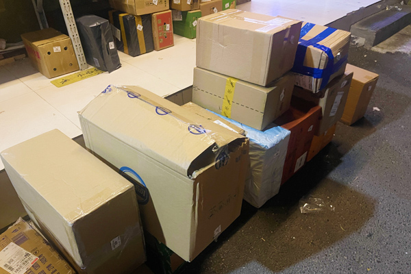 行业多项工作被纳入甘肃“十五五”规划纲要