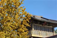 园区参加“检企同心?护航发展”企业座谈会