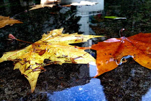 2025年柬埔寨服装与鞋类出口超138亿美元 同比增长18.3%